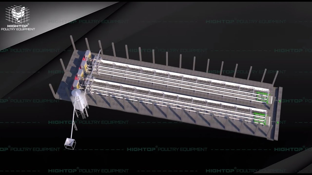 how to make a cost-effective but modern chicken farm? - YouTube