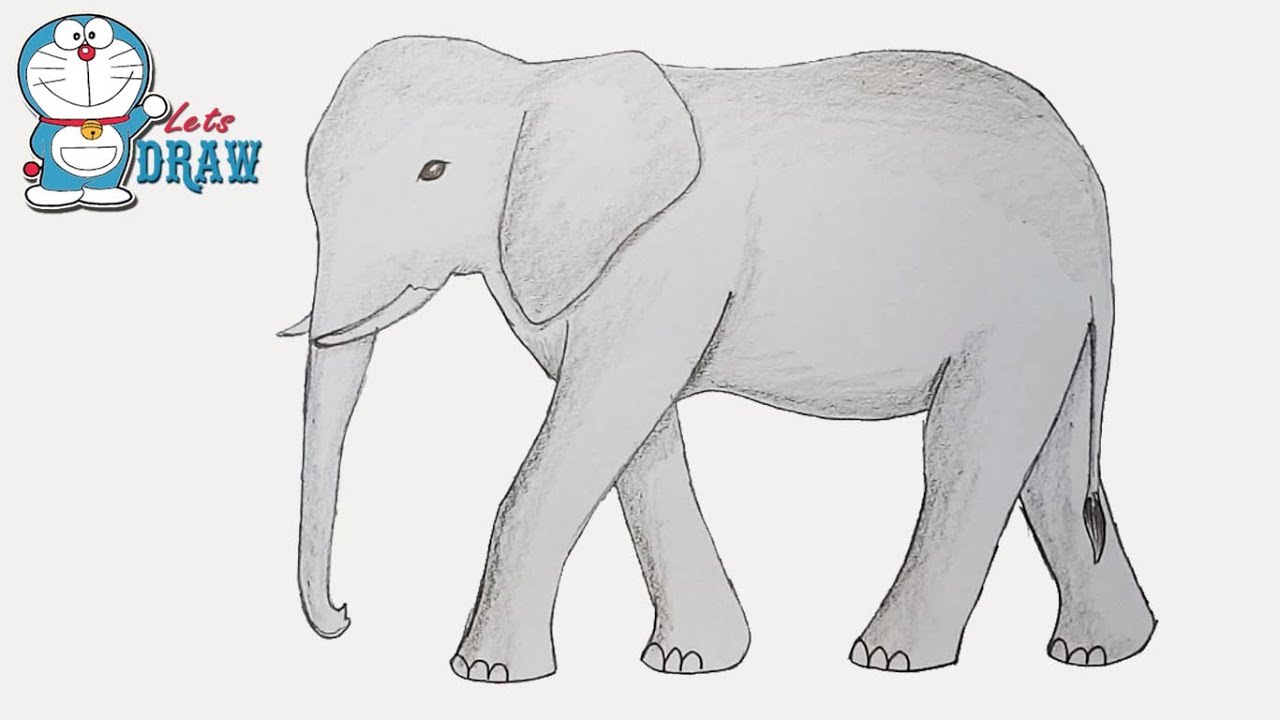 Buy > elephant drawing easy step by step > in stock