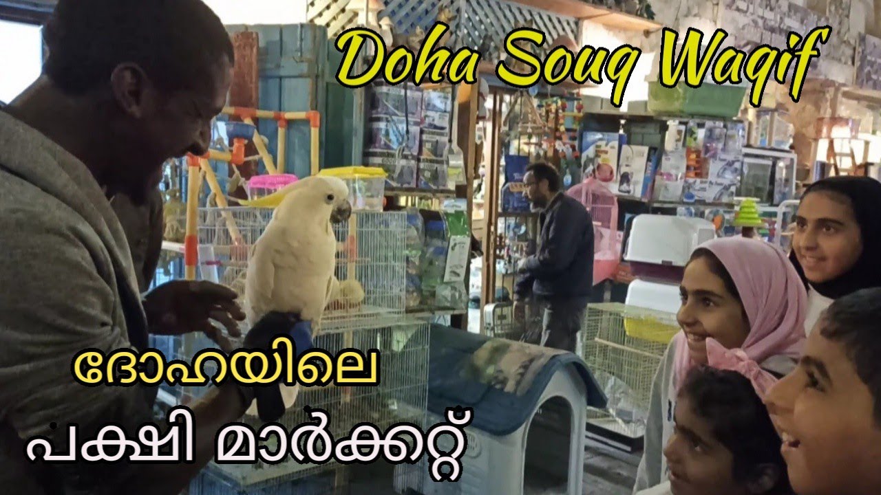 Souq Waqif Doha QatarPets Market DohaBirds Market DohaAquarium Fish