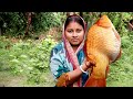 Amazing Beautyful Gold Fish Cutting & Cooking Masala Fish Curry Recipe With Slice Potato In Village