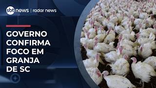 Newcastle disease: meat consumption is safe, says minister | #RadarNews