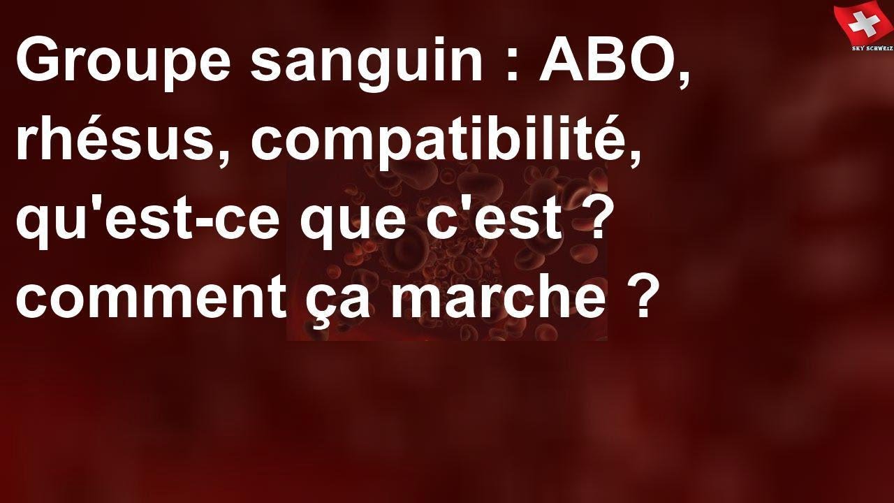 Groupe sanguin : ABO, rhésus, compatibilité, qu'est-ce que c'est ...