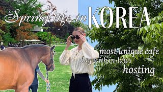 life in Korea vlog 🇰🇷 a day with my in-laws! hosting my Turkish friend at home, quick recipe ideas