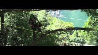 Tree Work Demonstration : Kiso Agematsu Rinsenji 2015 9/12 Part 1