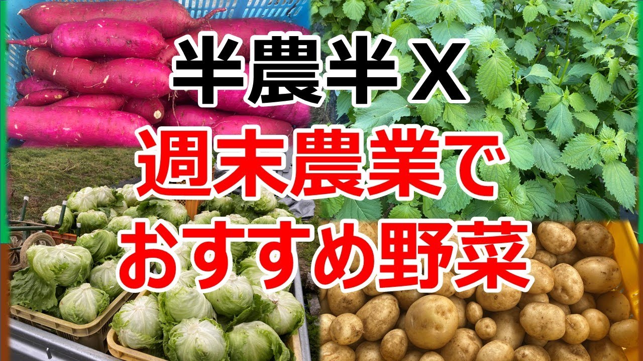 週末農業で儲かるおすすめ野菜