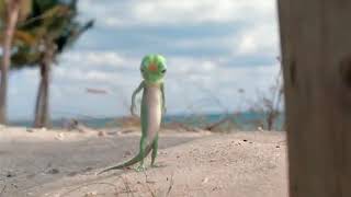 Geico Insurance Beach Commercial