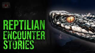 THE WACO REPTILE MAN - SCARY REPTILIAN CRYPTID ENCOUNTER