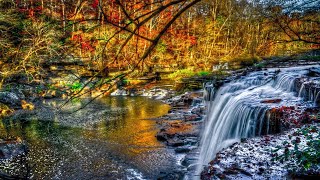 428 Hz Success And Abundance Frequency - The Wealth and Health Generator