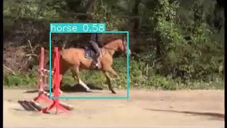 horse centernet kcf1