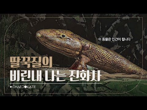 우리는 왜 딸꾹질을 할까? (ft. 물고기에서 인간까지)