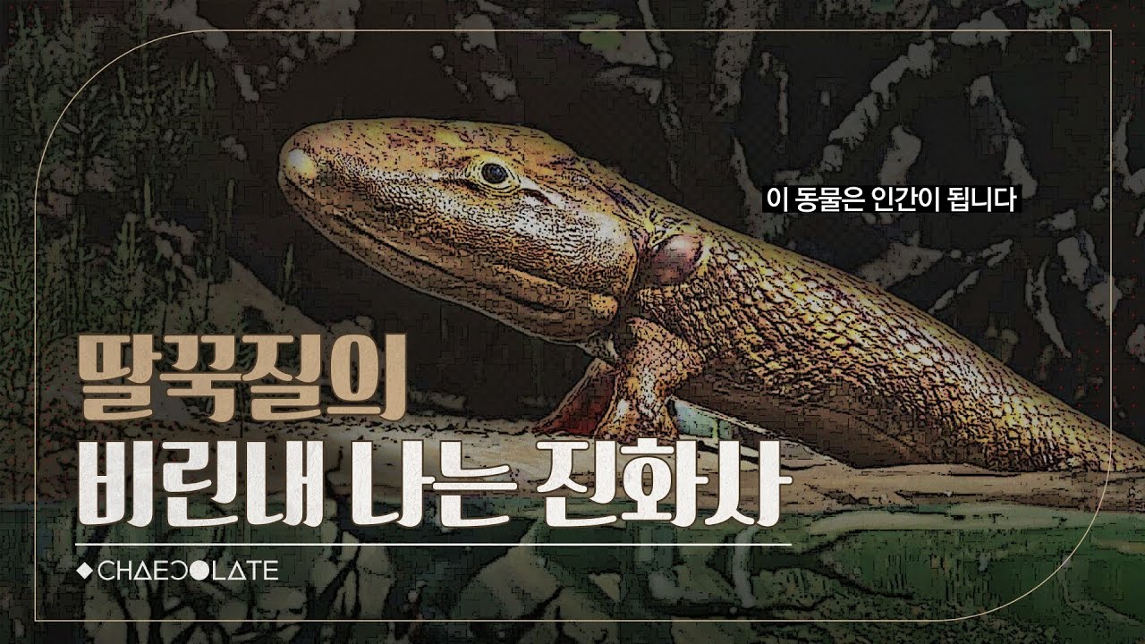 우리는 왜 딸꾹질을 할까? (ft. 물고기에서 인간까지)