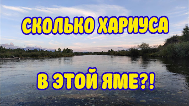 СКОЛЬКО РЫБЫ В ЭТОЙ ЯМЕ?! ХАРИУС И ЛЕНОК СОШЛИ С УМА!!!