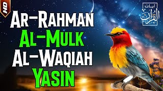 Surah Ar Rahman,Surah Al Mulk,Surah Al Waqiah,Surah Yasin | Pengantar Tidur Penenang Hati & Pikiran