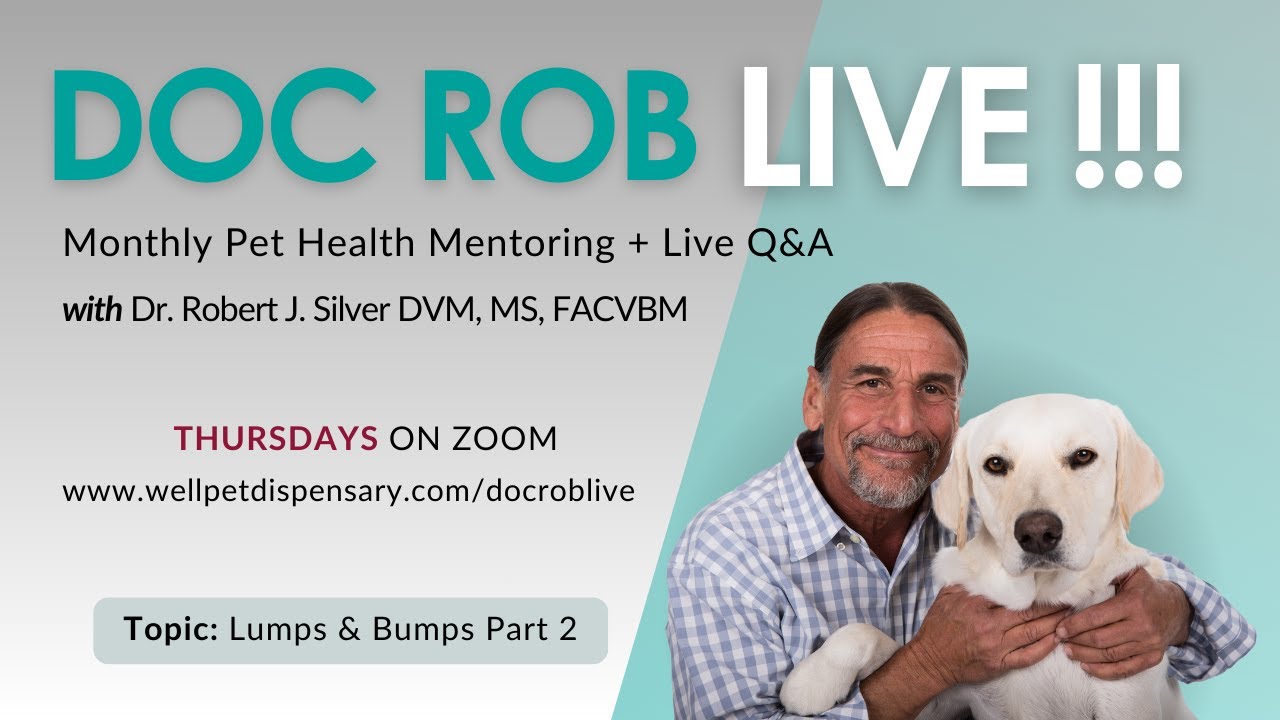 Lumps & Bumps Pt. 2 | Doc Rob Live with Dr. Rob Silver
