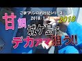 【相模湾アマダイ】城ケ島でデカアマ狙う!!(2018/01/02)