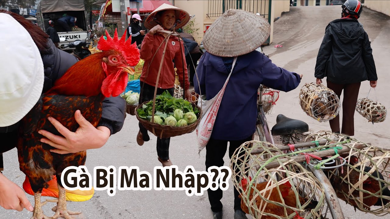 Chợ phiên Lộc Bình xứ Lạng những ngày cuối năm-Gặp gà trống khổng lồ dân đồn có ma nhập