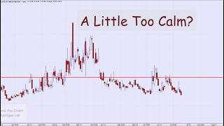 A Little Too Calm?
