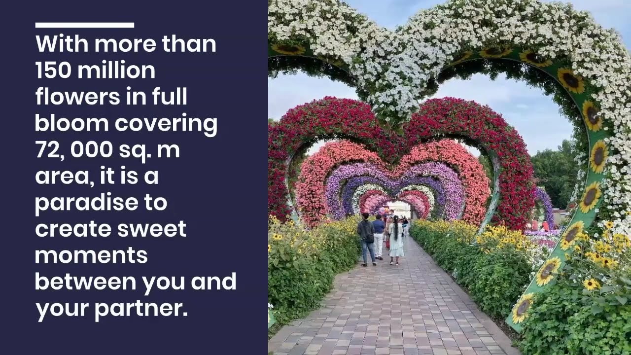 Best 5 Places in Dubai for a Pre-Wedding Photoshoot | Best wedding planner UAE|Event designers dubai