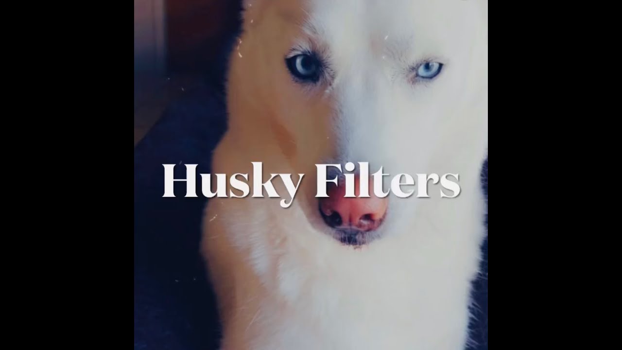 Husky Filters