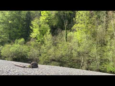 Bregenzerachschlucht bei Kennelbach #natur #natureshorts #bregenzerach by Travel and education