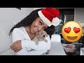 MEET MY NEW PUPPY!!! (ALL ABOUT MY BABY😍) VLOGMAS DAY 2