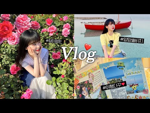 VLOG🌹 장미꽃 구경하고💕 바닷가 산책하고🛳 여행 <strong>다이어리</strong> <strong>꾸미기</strong> <strong>일상</strong>✨