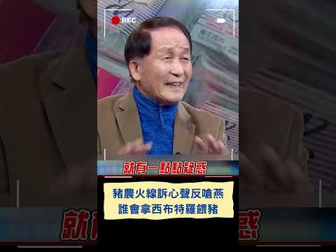 豬農火線訴心聲反嗆盧秀燕:西布特羅貴桑桑 誰會拿那個餵豬 根本請鬼拿藥單！｜20240207｜#shorts