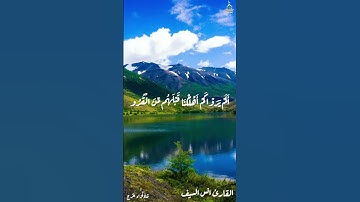 ياحسرة على العباد - تلاوة خاشعه للقارئ انس محمد السيف