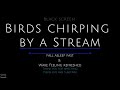 Black Screen 10 Hours - Birds Chirping - Bird Sounds - Nature Sounds - Stream Sounds - Birds Singing