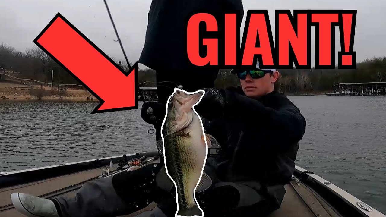 MORNING MAYHEM | Winter Bass Fishing Table Rock Lake