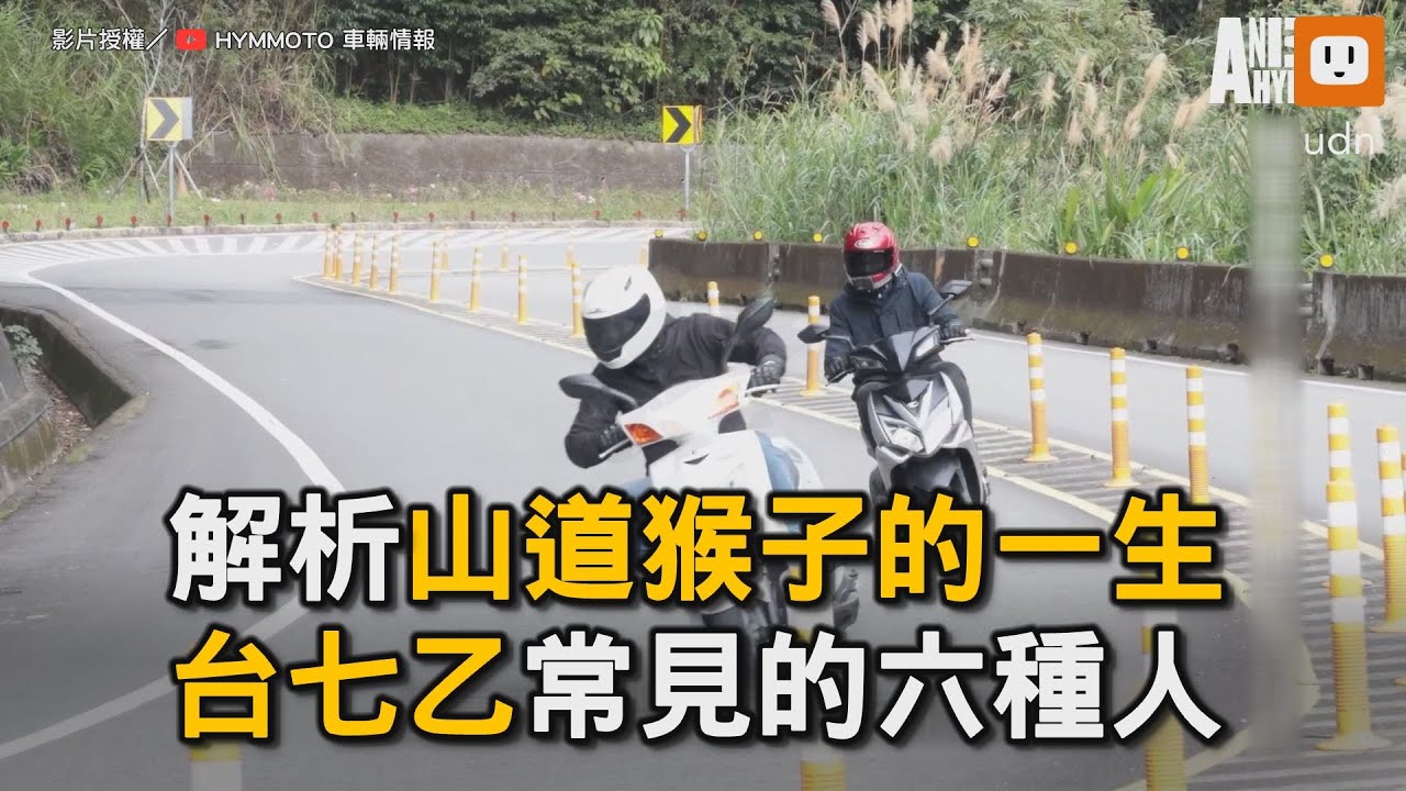 解析「山道猴子的一生」背景舞台 「台七乙」常見的六種人｜猴子｜台七乙｜跑山｜搞笑 