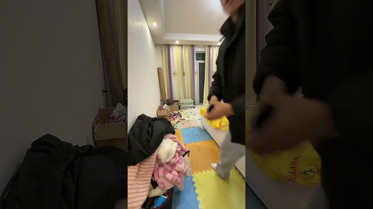 （2131）牛牛阿娜日常生活 阿娜回中国的日常