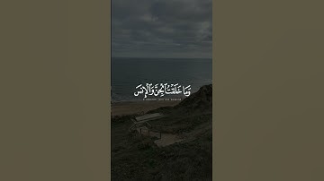 قران كريم صوت هادئ