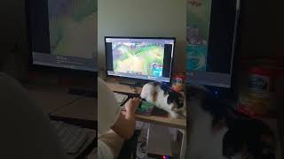 게임매니아  집사 바라기 연두 screenshot 1