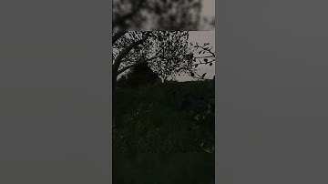 DayZ Console - When you are to Confident