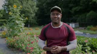 How do you build a healthy and equitable food system in DC?