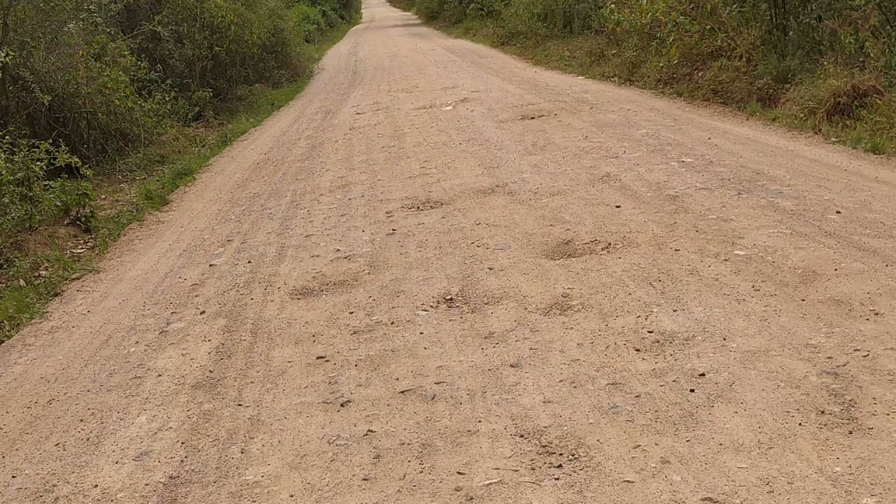 Fazenda - Floresta Azul-BA