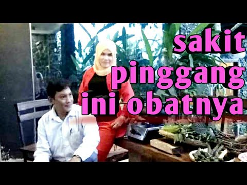 cara-membuat-obat-sakit-pinggang.-daun-kumis-kucing.rahmat-kemkem