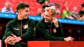 Brandt \& Havertz || Rewrite the stars