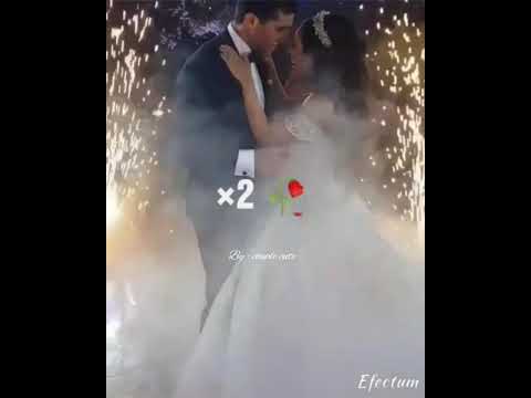 بدنا نول ع الجو نانسي عجرم حالات واتس
