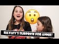 Hayley's Surprise For Annie 😲 (WK 384) | Bratayley