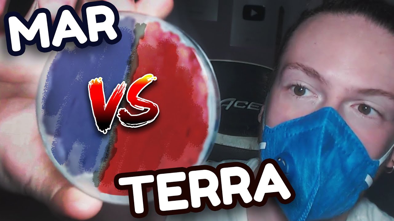 Coloquei BACTÉRIAS da TERRA vs MAR pra brigar