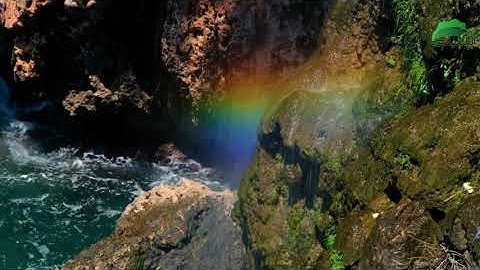 علي جابر رحمه الله هدوء عجيب وتلاوة متأنية