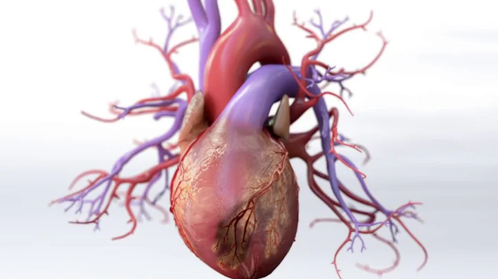 What is Coronary Artery Disease - Mechanism of Disease - DayDayNews