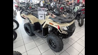 2023 ARCTIC CAT ALTERRA 300
