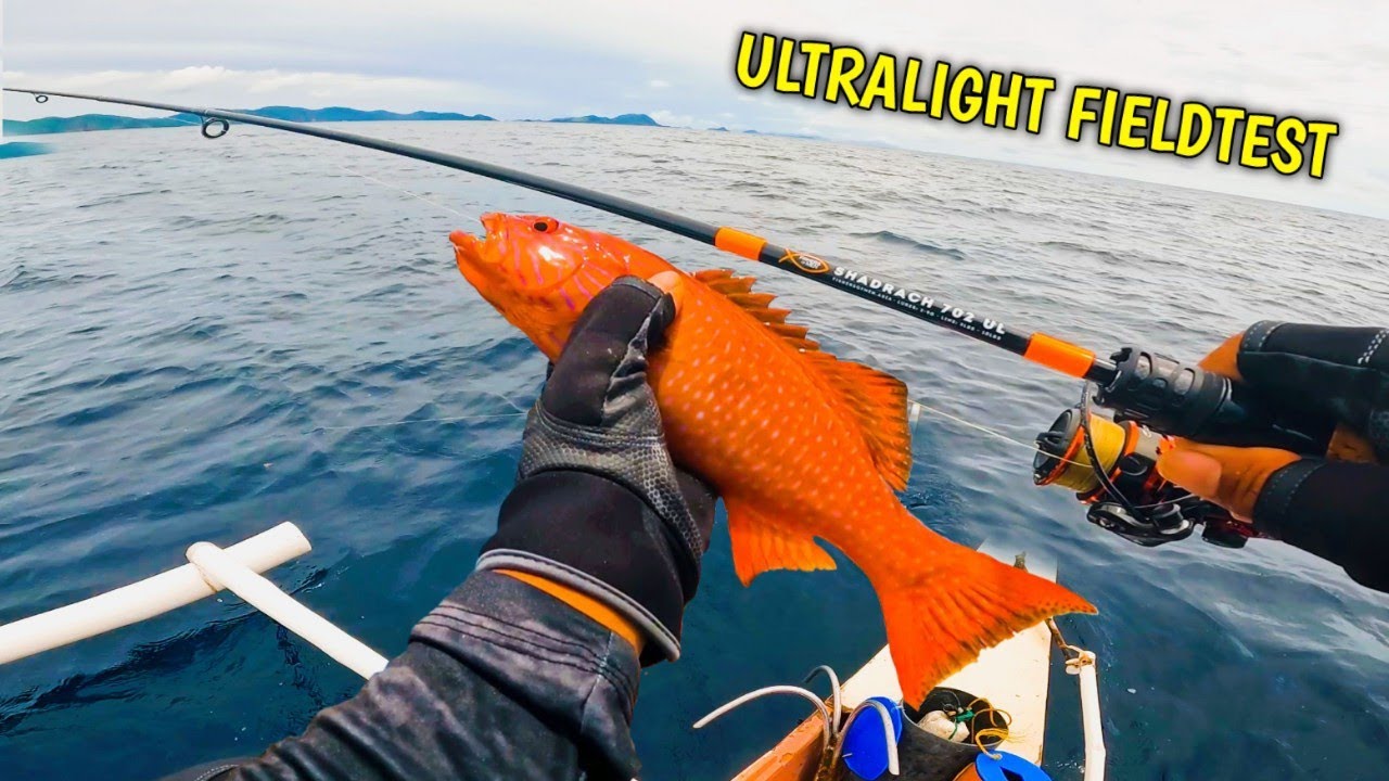 Mga Mamahaling Isda Agad Ang Sinampa Ng Bagong Shadrach 702 UL. MGA KALIDAD