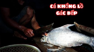 Sang Vlog Gác Bếp Con Cá Khổng lồ | Sống Giữa Rừng Già ( phần cuối )