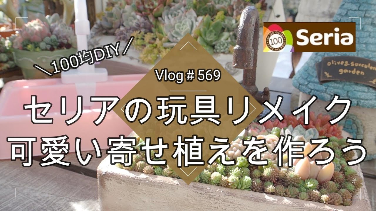 セリア ✨ Vlog 569] [Succulents] Remaking Seria toys 🎨 Making a cute flower