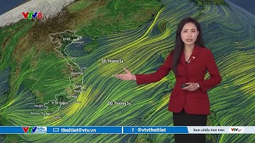 Dự báo thời tiết biển ngày 12/12/2025 | Gió đông bắc hoạt động mạnh | VTVWDB