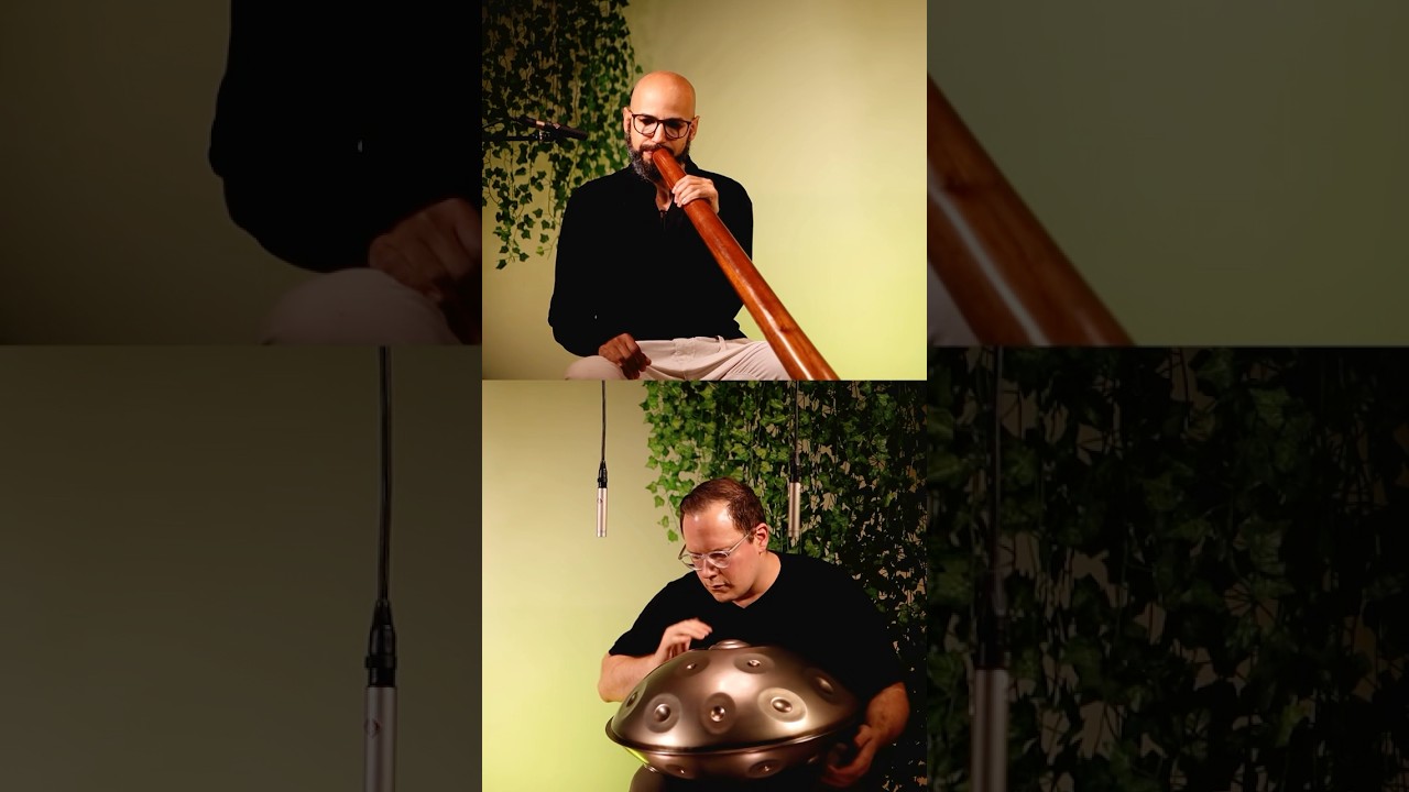 Mudra Handpan D Kurd 18 + Didgeridoo performed by @fabiostamato2199 and @LipeAraujooficial